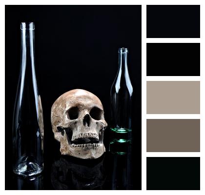 Idea Empty Bottles Glass Bottles Dark Bottles Composition Concept Alcoholism Skull Image